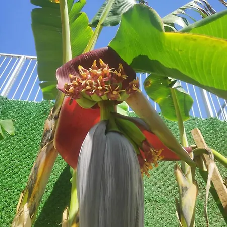 Relax&dream Long Lägenhet *